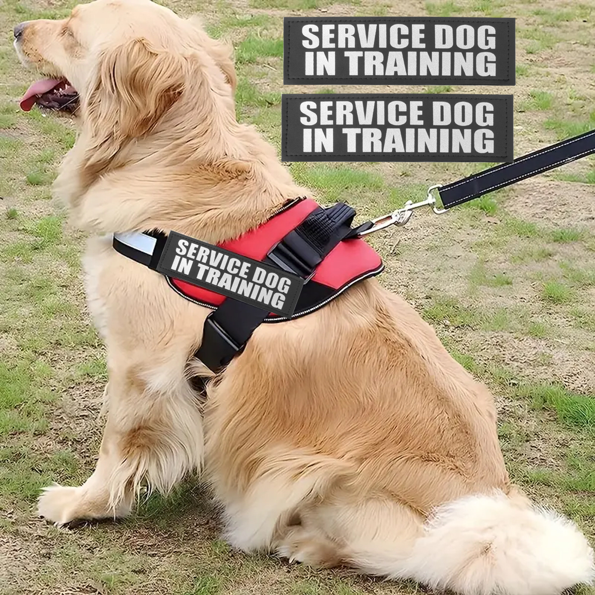 Custom Dog ID Tags For Harness - огляд і ціна Sewing Labels